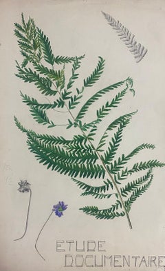 Vintage 1950s French Post Impressionist Watercolor Painting Of Ferns