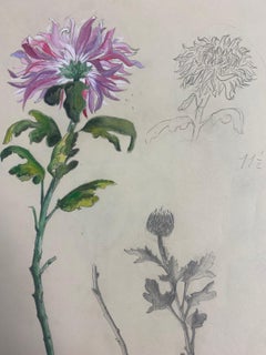 1950s French Post Impressionist Watercolor Painting Pink Chrysanthemum Flowers