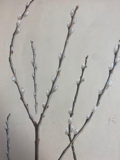 1950s French Post Impressionist Watercolour Painting Of Pussy Willow