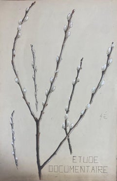 1950s French Post Impressionist Watercolour Painting Of Pussy Willow