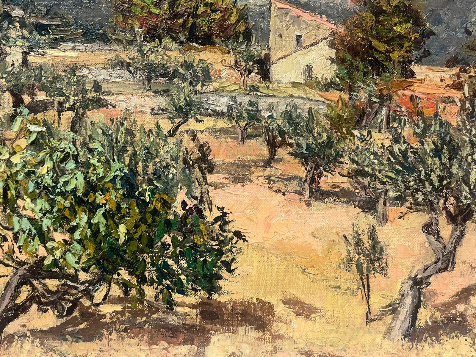1960s French Post-Impressionist Signed Oil Olive Groves In Dry Heat Landscape For Sale 1