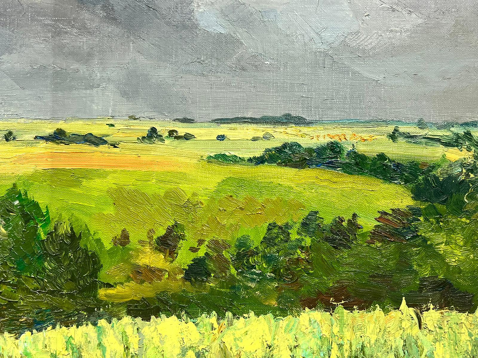 Paysage vert atmosphérique en brouillard Grande huile post-impressionniste française des années 1960 - Post-impressionnisme Painting par Josine Vignon
