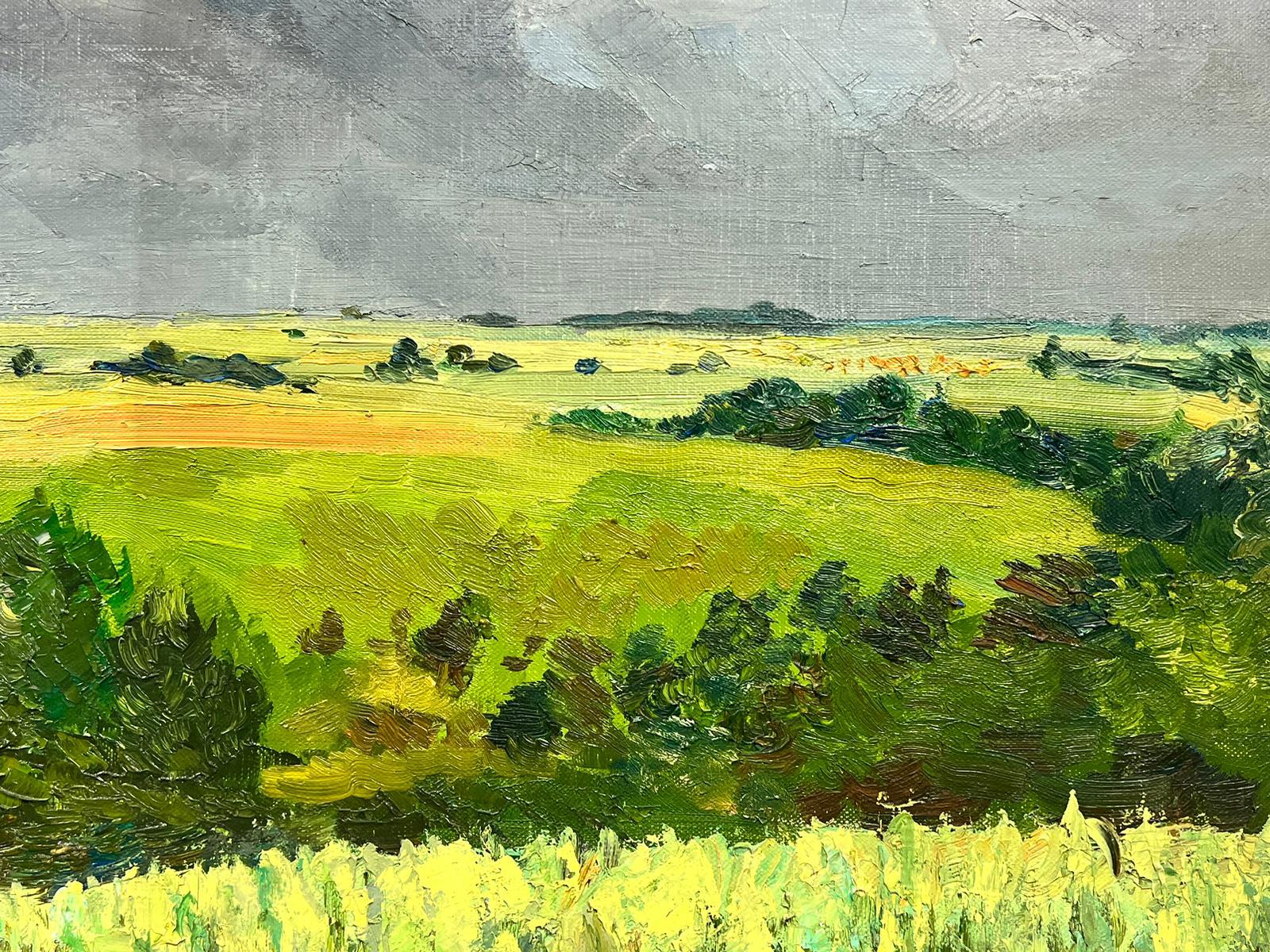 Enorme paisaje verde atmosférico postimpresionista francés de los años 60 Óleo - Painting Posimpresionista de Josine Vignon