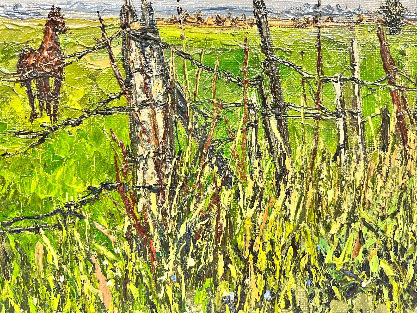 Braunes arabisches Pferd in verdrahtetem grünem Feld, dickes Öl Impasto – Painting von Josine Vignon