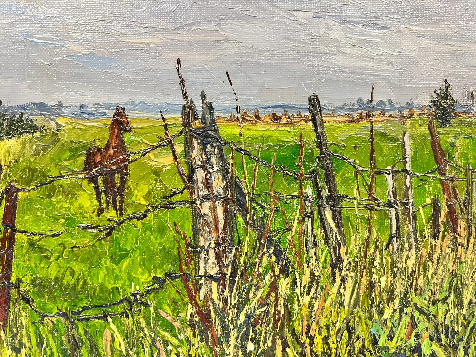 Braunes arabisches Pferd in verdrahtetem grünem Feld, dickes Öl Impasto (Post-Impressionismus), Painting, von Josine Vignon