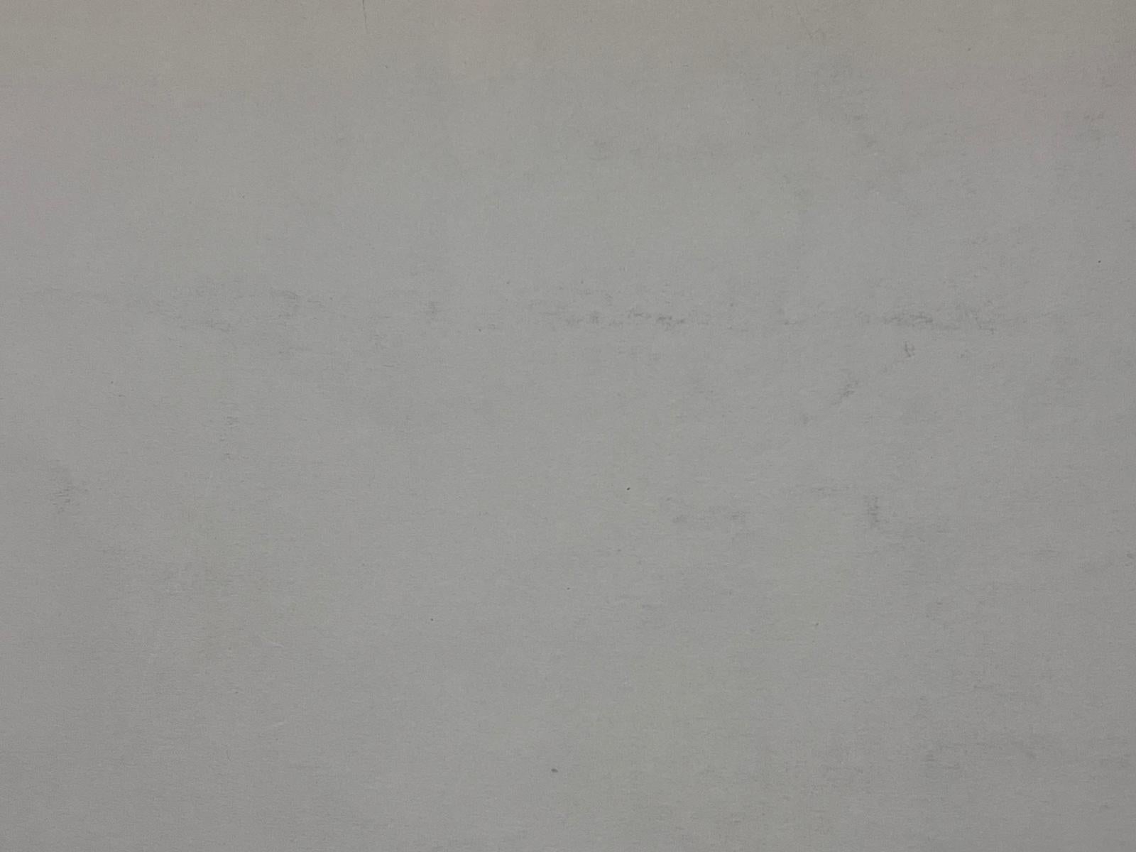 Elegante Tuschezeichnung eines liegenden weiblichen Aktes im Angebot 2
