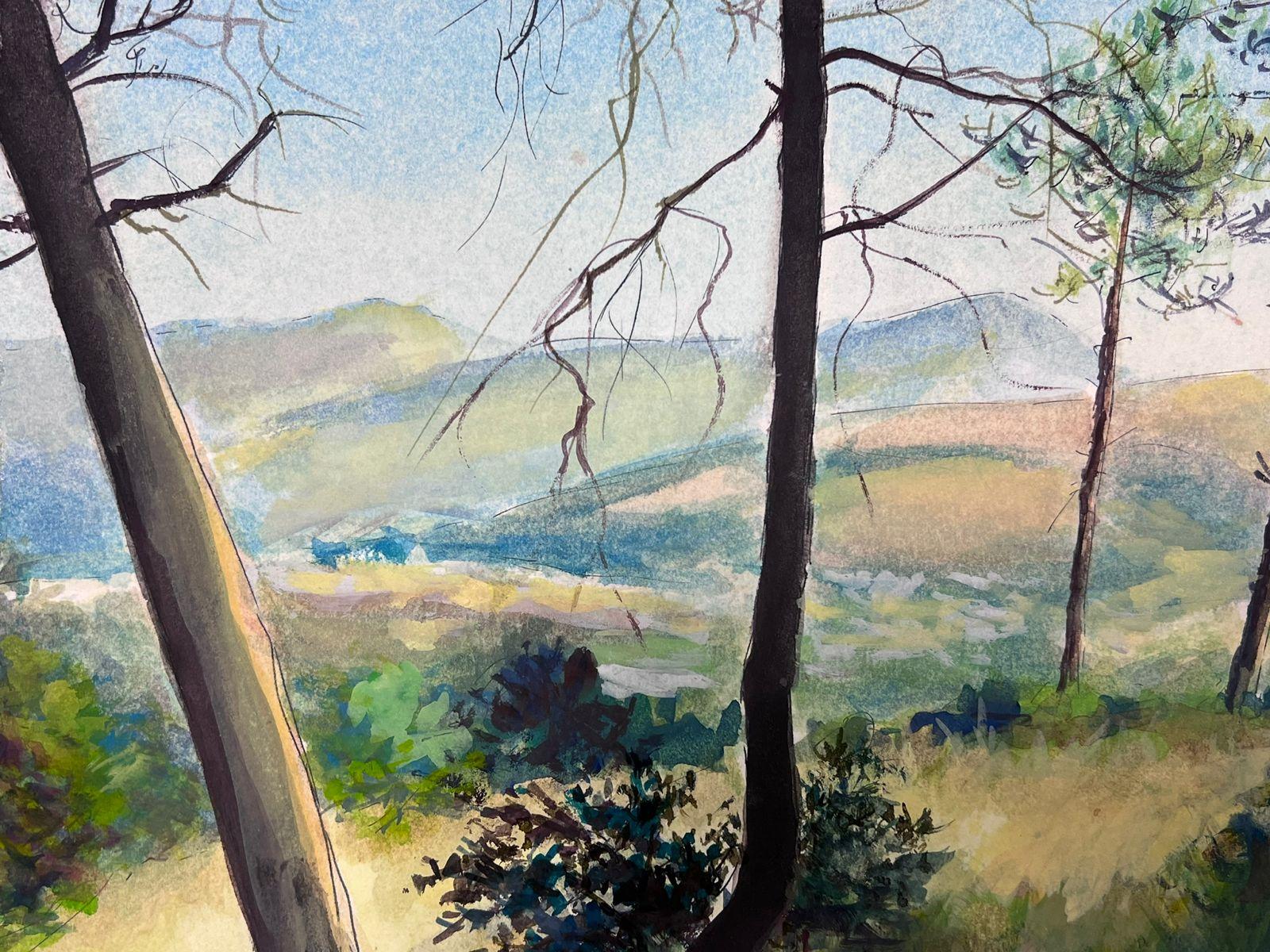 Paesaggio forestale con vista sulle montagne lontane, acquerello in vendita 1