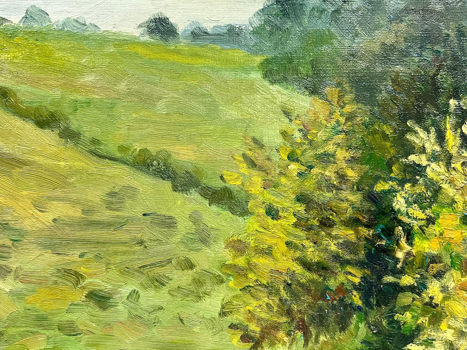 Peinture à l'huile post-impressionniste française - « Chevaux Grazing in Tranquil Pastures » - Post-impressionnisme Painting par Josine Vignon