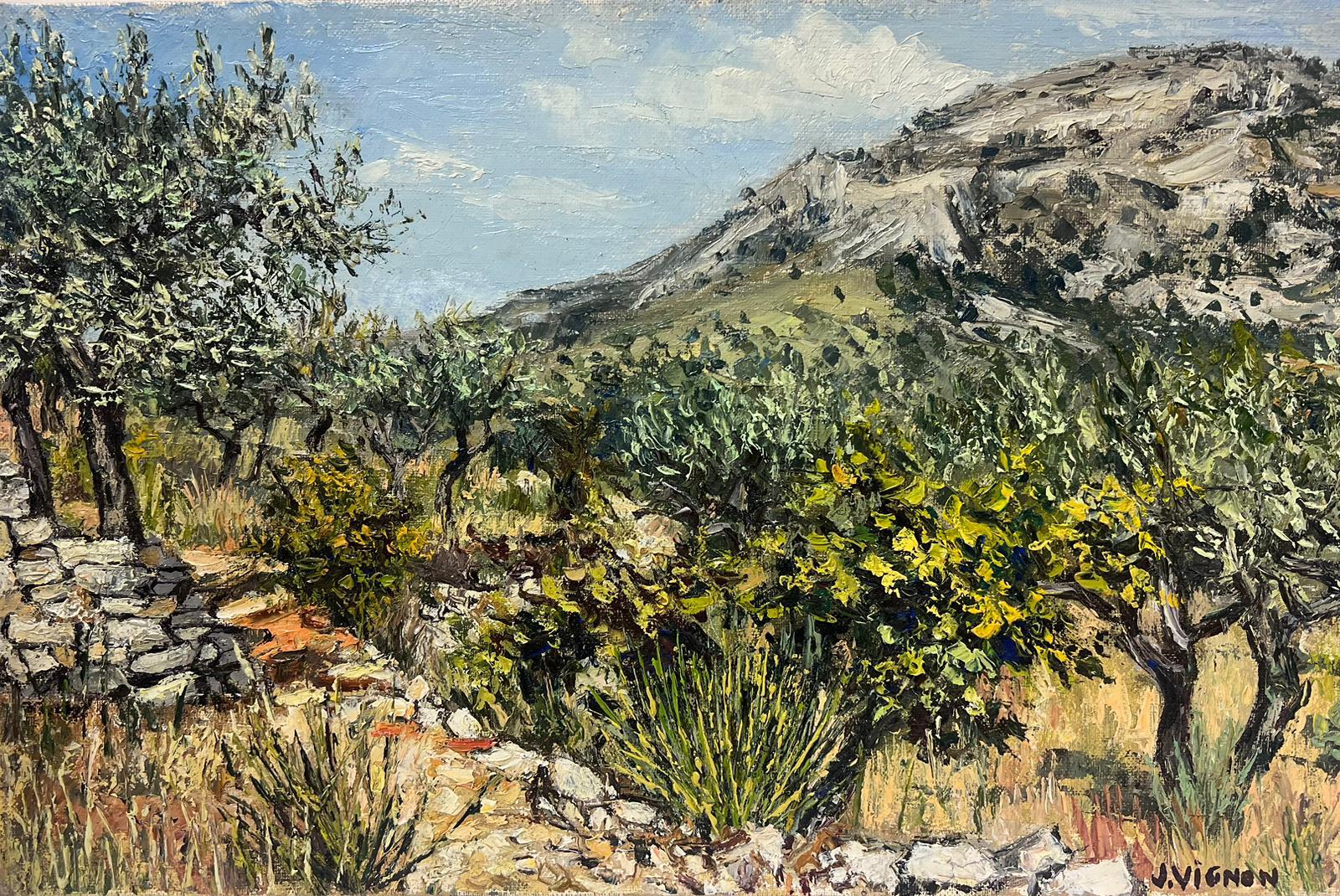 Josine Vignon Landscape Painting - La Garrigue South of Provence Sunny Landscape 1960's French Oil Painting 