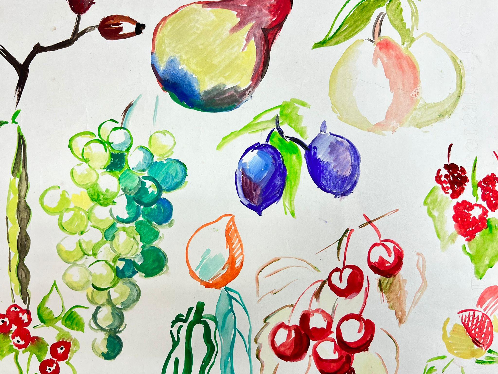 Mid Century French Colorful Illustration Sketches Of Different Fruits - Painting by Josine Vignon