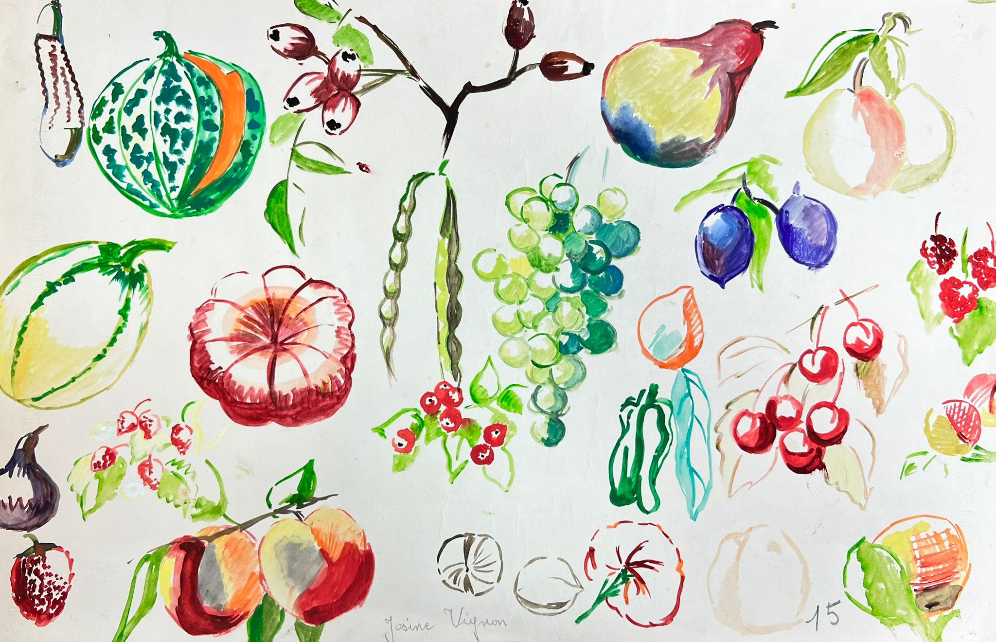 Josine Vignon Interior Painting - Mid Century French Colorful Illustration Sketches Of Different Fruits