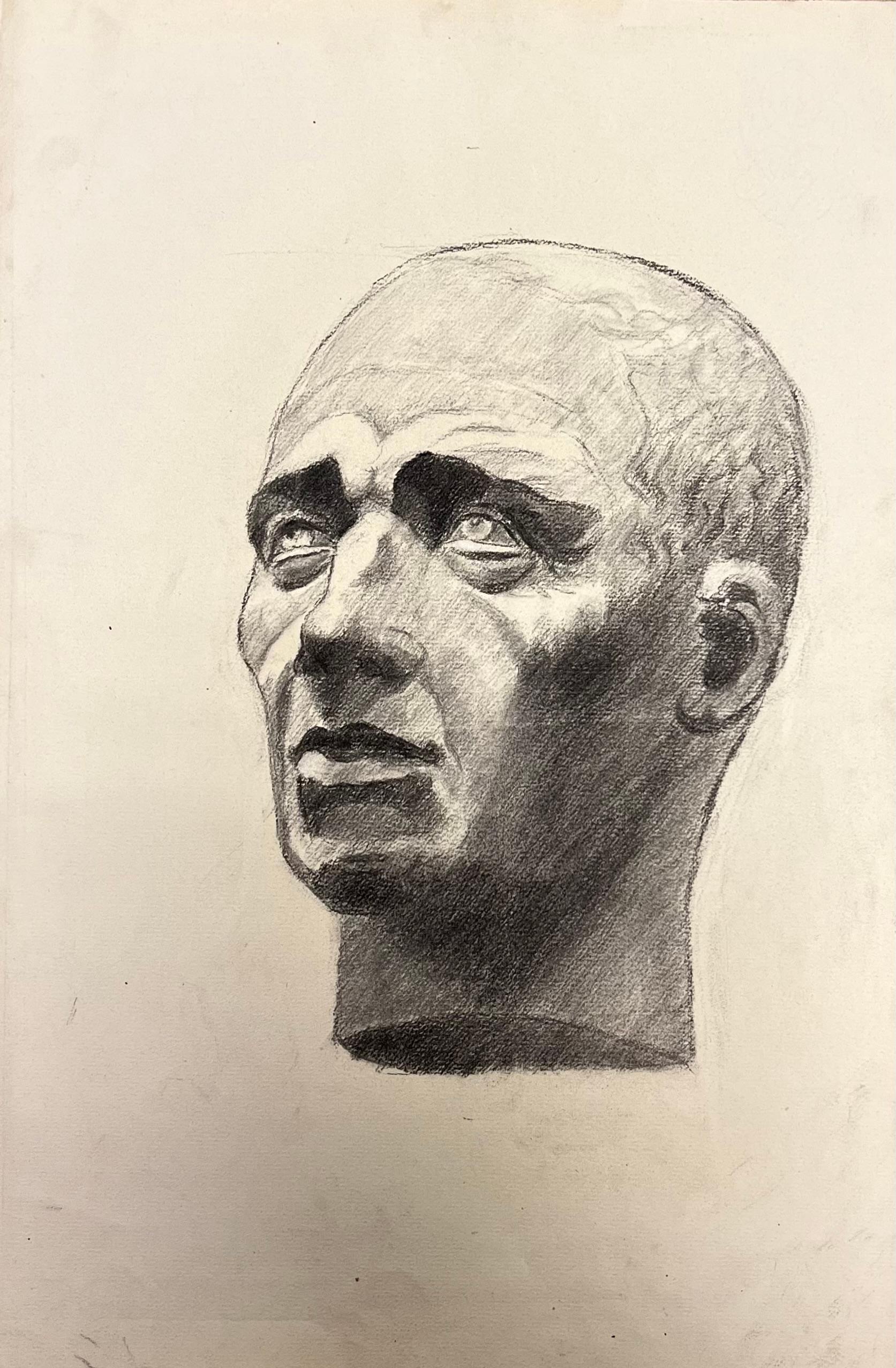 Disegno francese della metà del secolo scorso di un busto maschile calvo classico