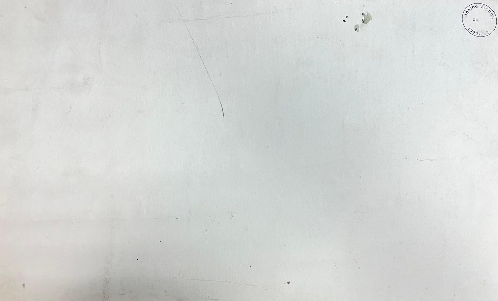 Illustration française du milieu du siècle Croquis d'intérieur de fleurs dans un vase en vente 1
