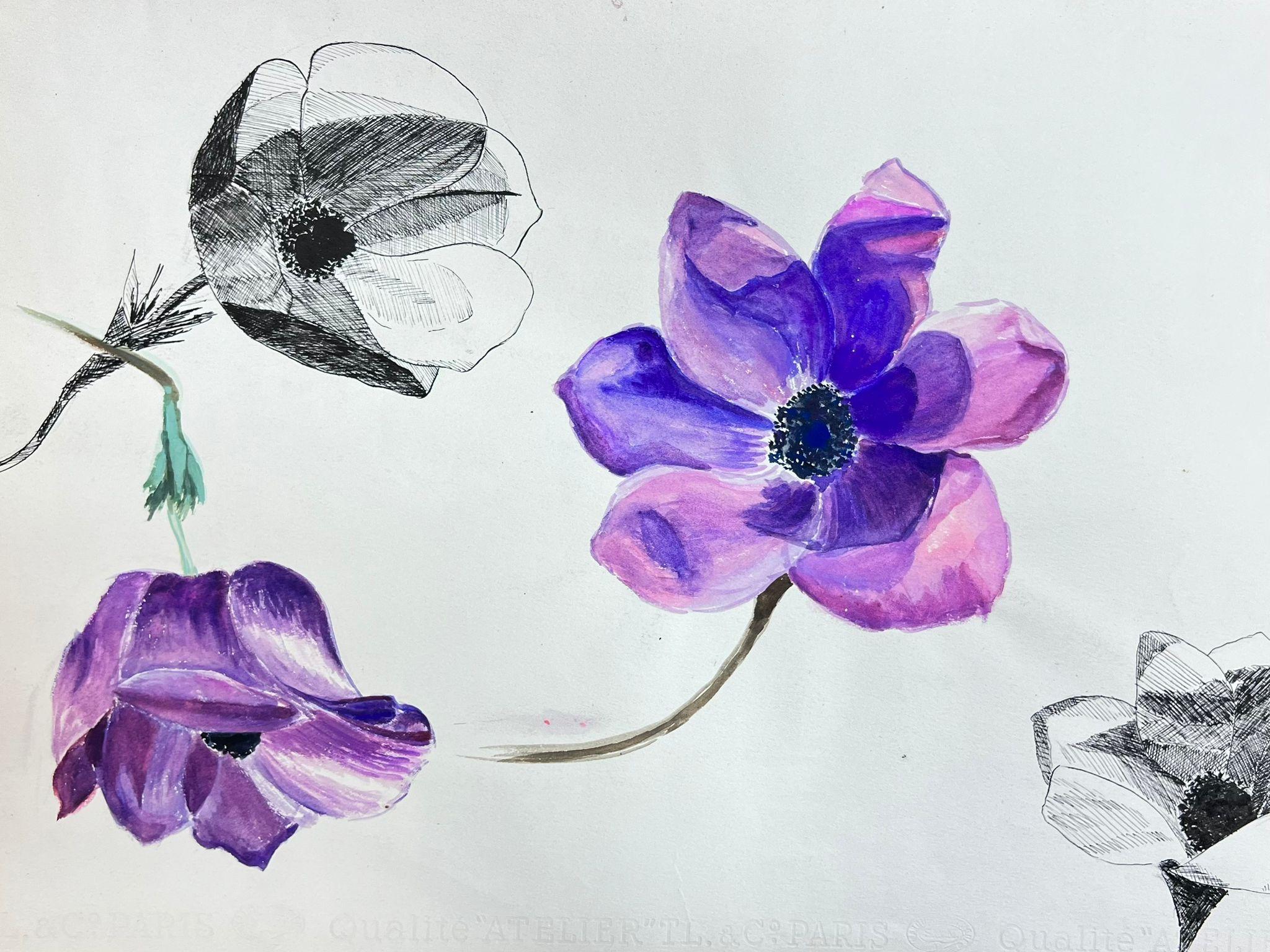 Illustration française du milieu du siècle Croquis d'une fleur de pivoine violette vibrante en vente 1