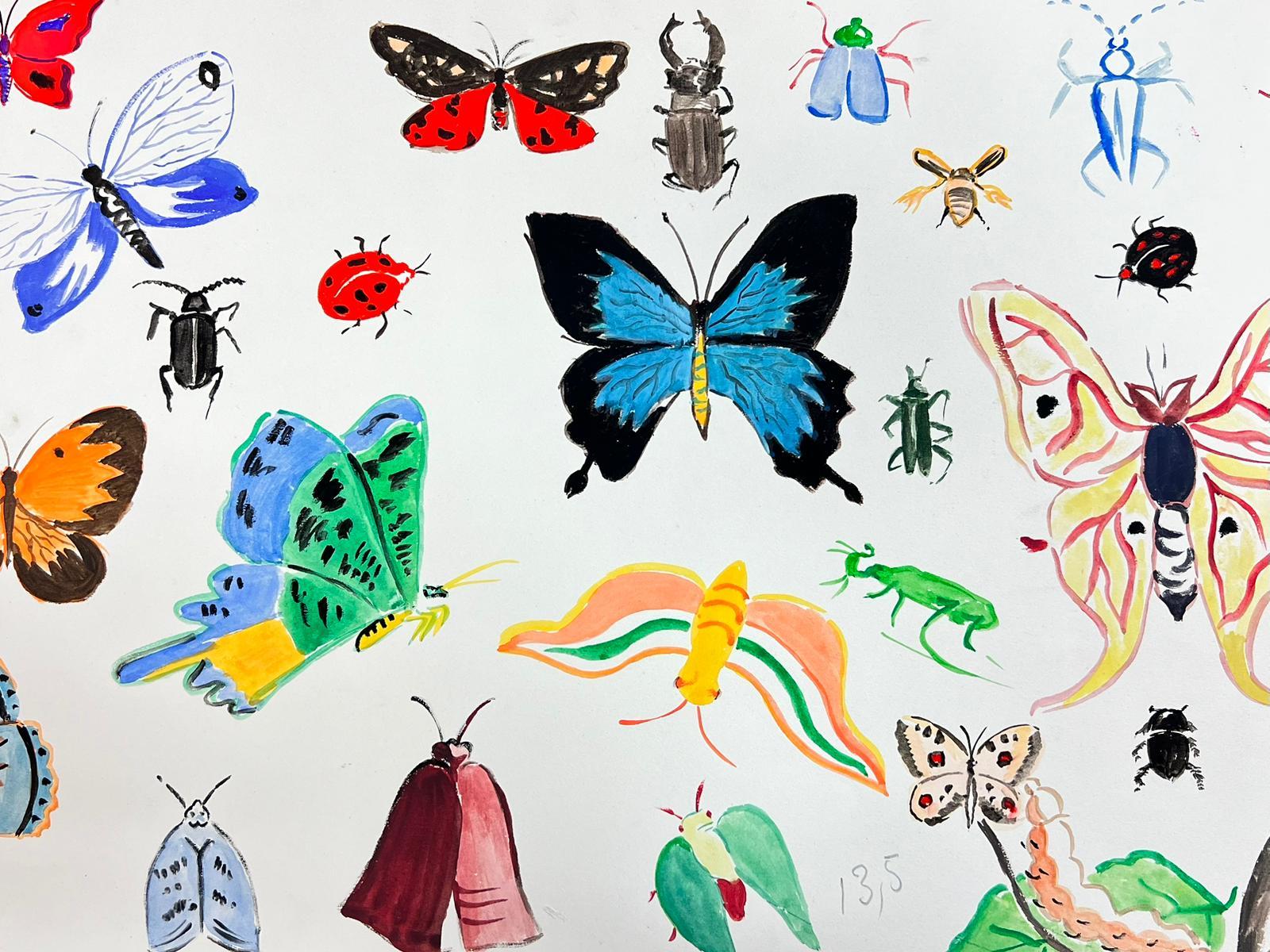 Französische Illustrationsskizzen aus der Mitte des Jahrhunderts mit verschiedenen Schmetterlingen und Insekten – Painting von Josine Vignon
