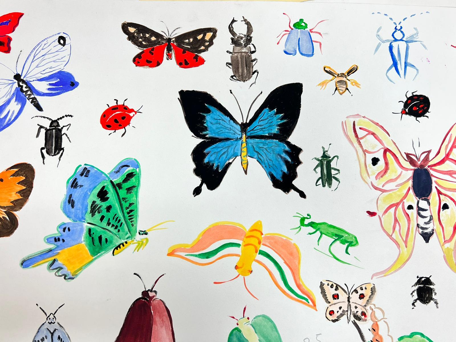 Französische Illustrationsskizzen aus der Mitte des Jahrhunderts mit verschiedenen Schmetterlingen und Insekten im Angebot 2