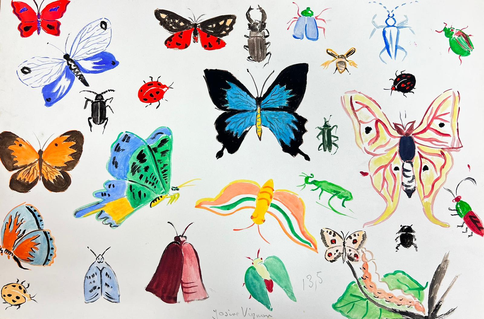 Josine Vignon Interior Painting – Französische Illustrationsskizzen aus der Mitte des Jahrhunderts mit verschiedenen Schmetterlingen und Insekten