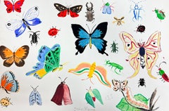Französische Illustrationsskizzen aus der Mitte des Jahrhunderts mit verschiedenen Schmetterlingen und Insekten