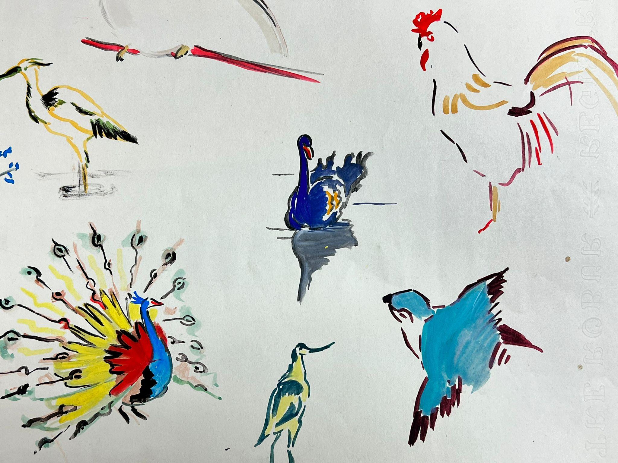Mid Century French Illustration Sketches Of Different Colorful Birds - Post-Impressionist Painting by Josine Vignon