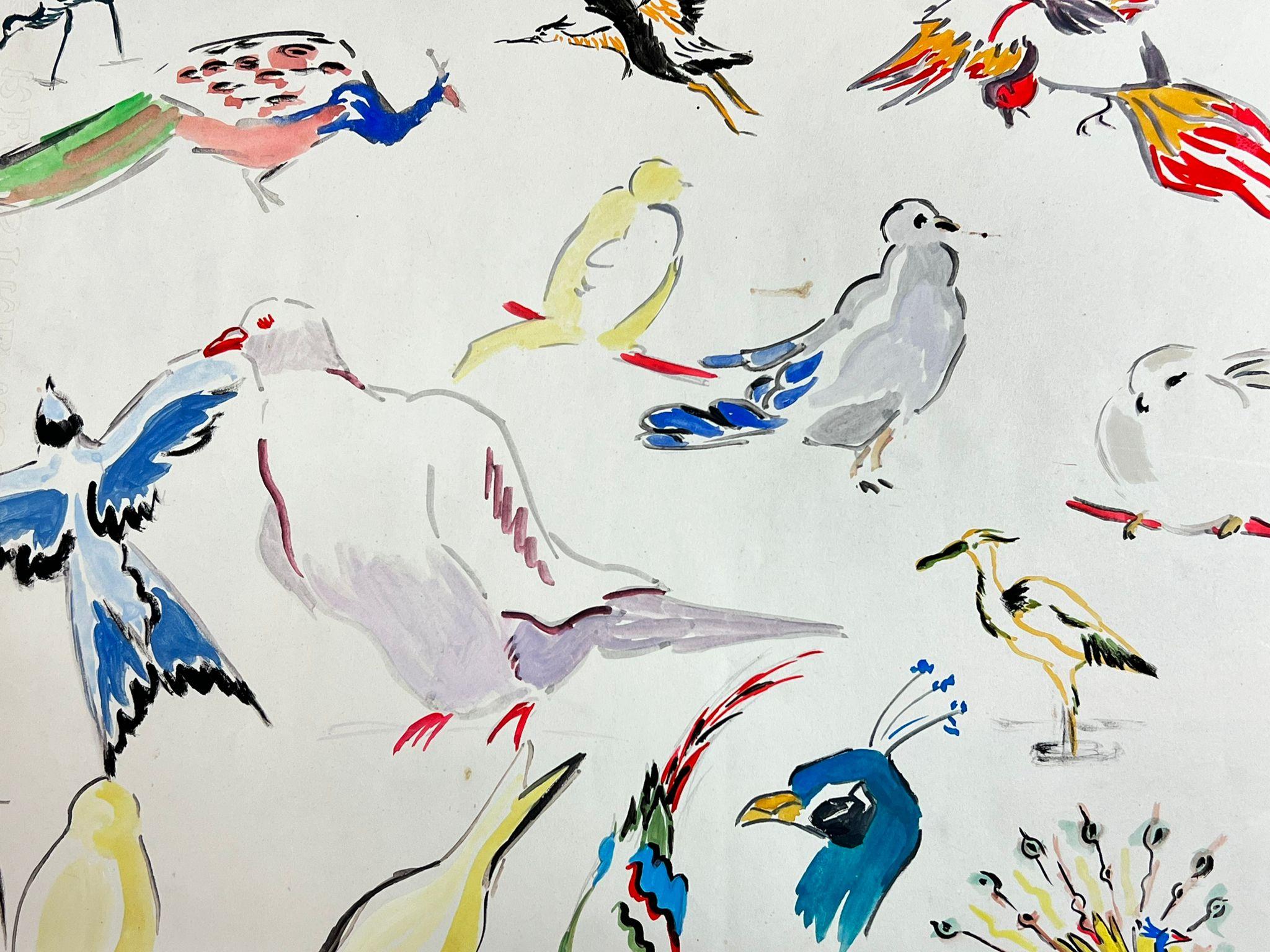 Mid Century French Illustration Sketches Of Different Colorful Birds For Sale 1