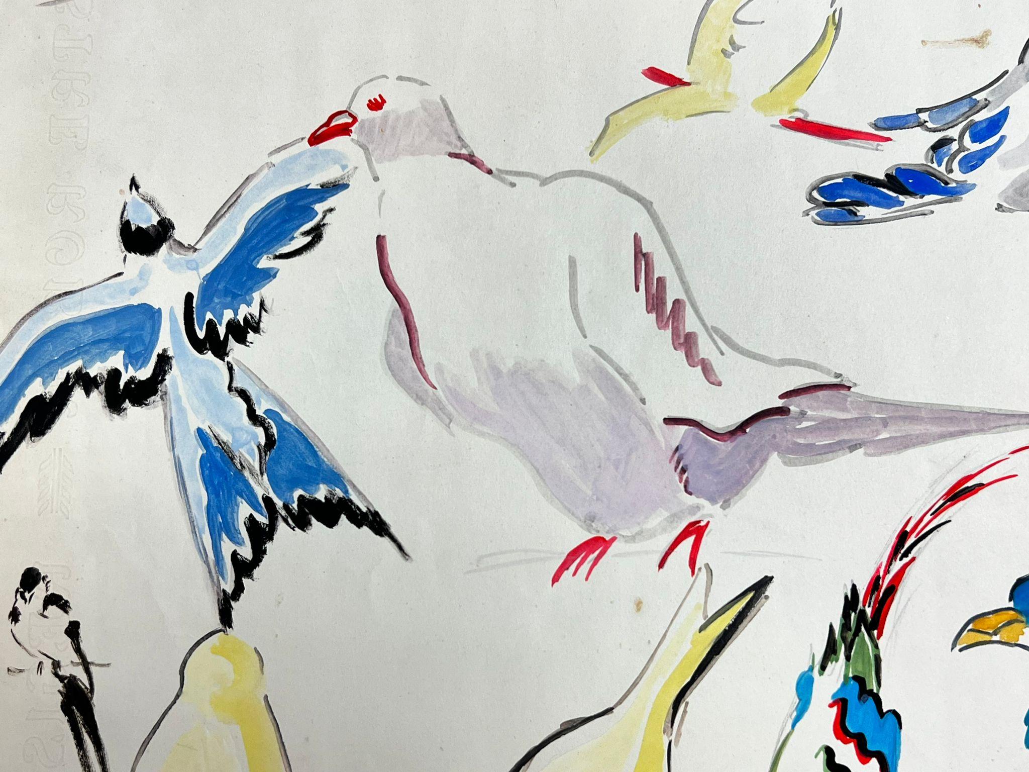 Sketches d'illustrations françaises du milieu du siècle dernier d'oiseaux colorés différents en vente 1