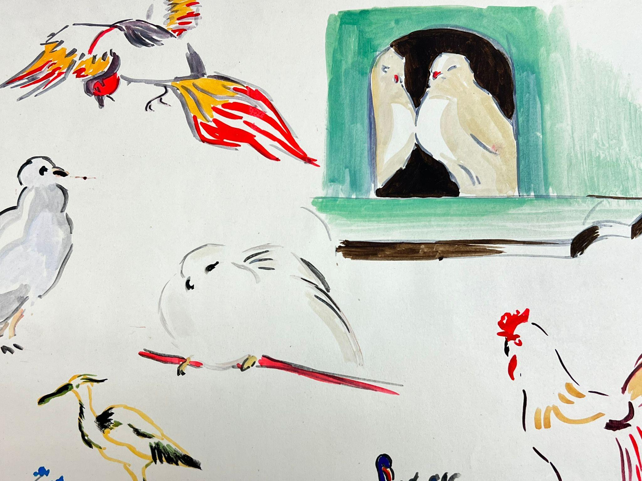 Sketches d'illustrations françaises du milieu du siècle dernier d'oiseaux colorés différents en vente 2