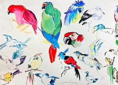 Mid Century French Illustration Sketches Of Vibrant Exotic Parrots