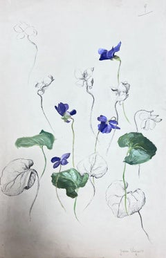 Französische Illustration Viola Canina, Aquarell-Sketch aus der Mitte des Jahrhunderts