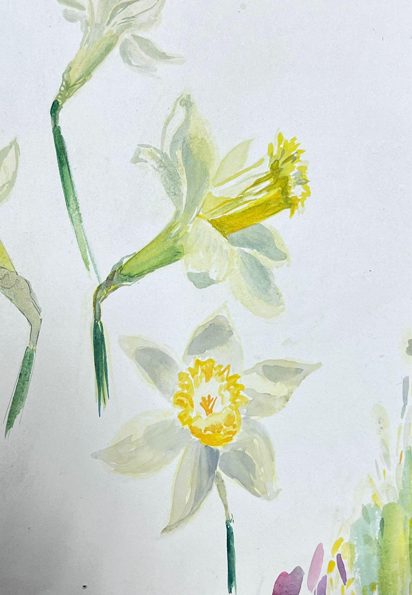 Mid Century French Illustration Yellow Daffodil Watercolour Sketch  - Painting by Josine Vignon