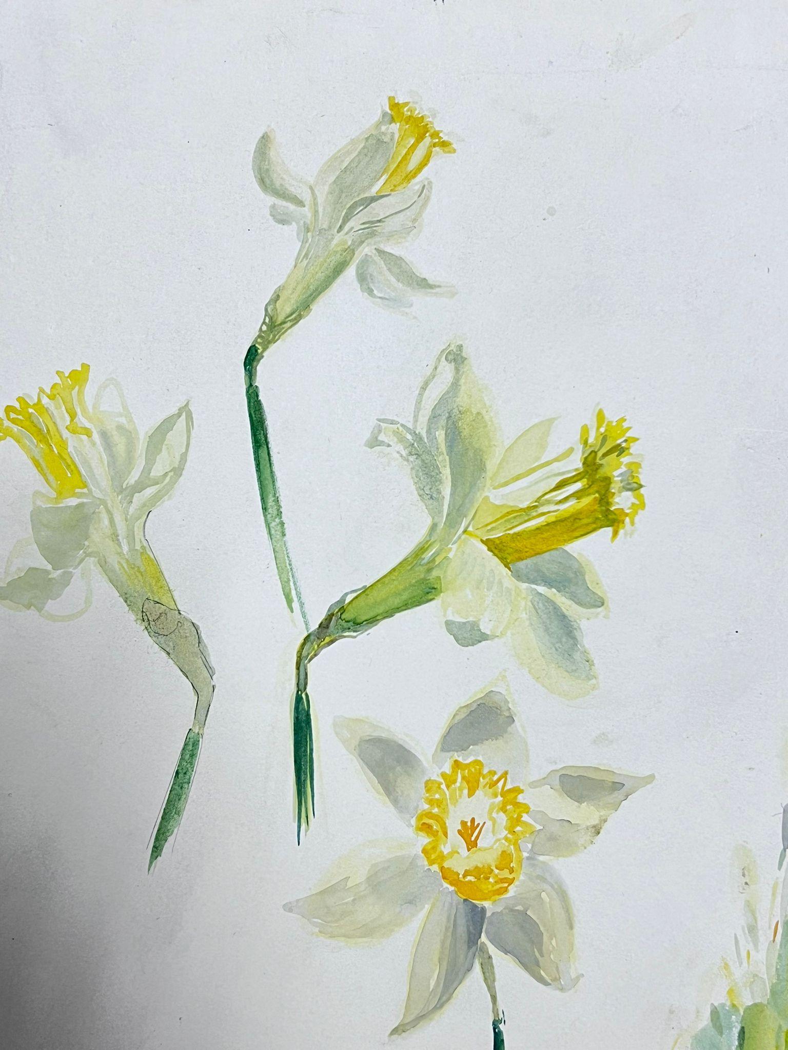 Mid Century French Illustration Yellow Daffodil Watercolour Sketch  - Impressionist Painting by Josine Vignon