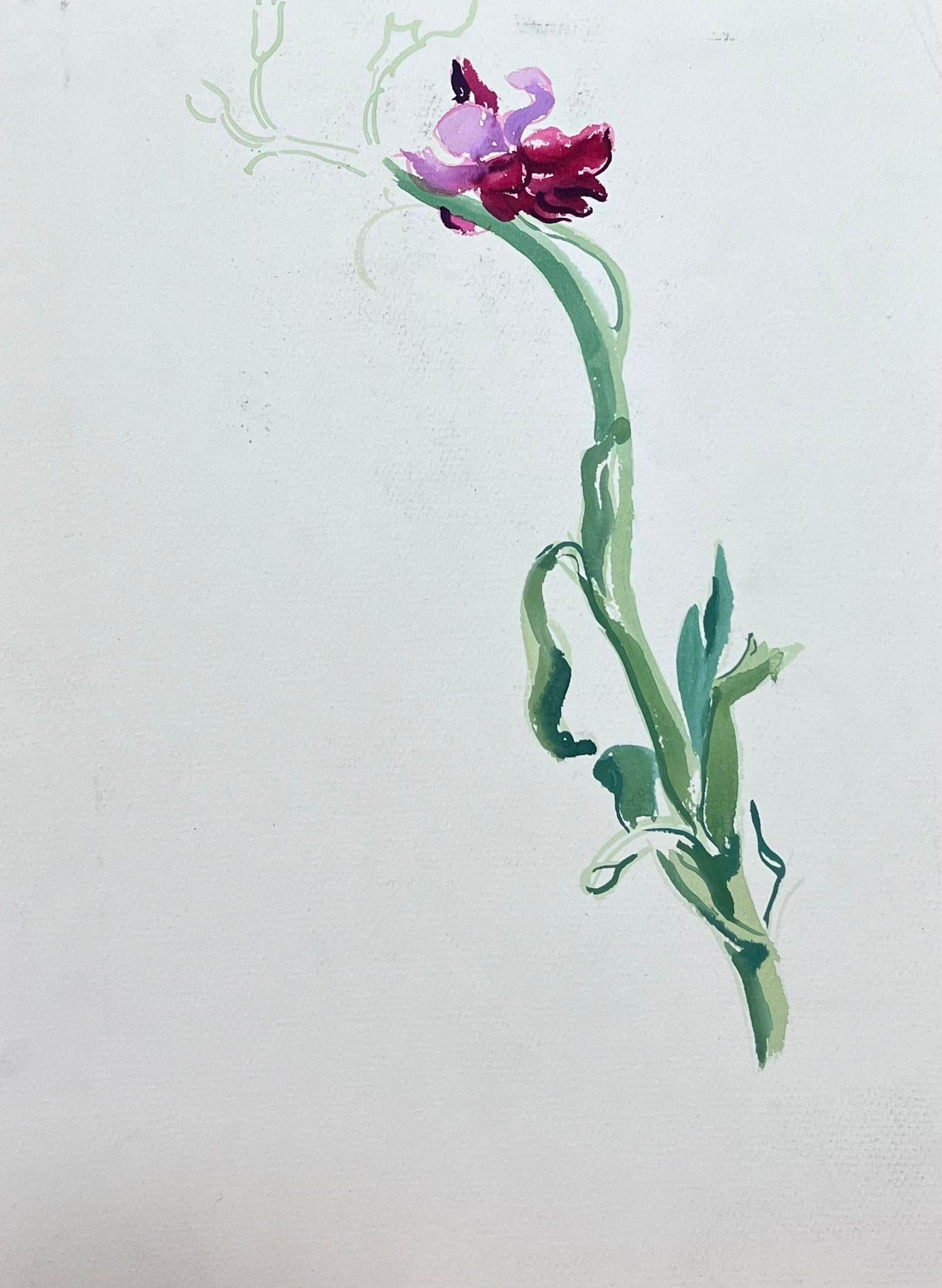 Josine Vignon Still-Life Painting – Mid Century Französisch Illustration Gelb Rosa Blume Aquarell Skizze