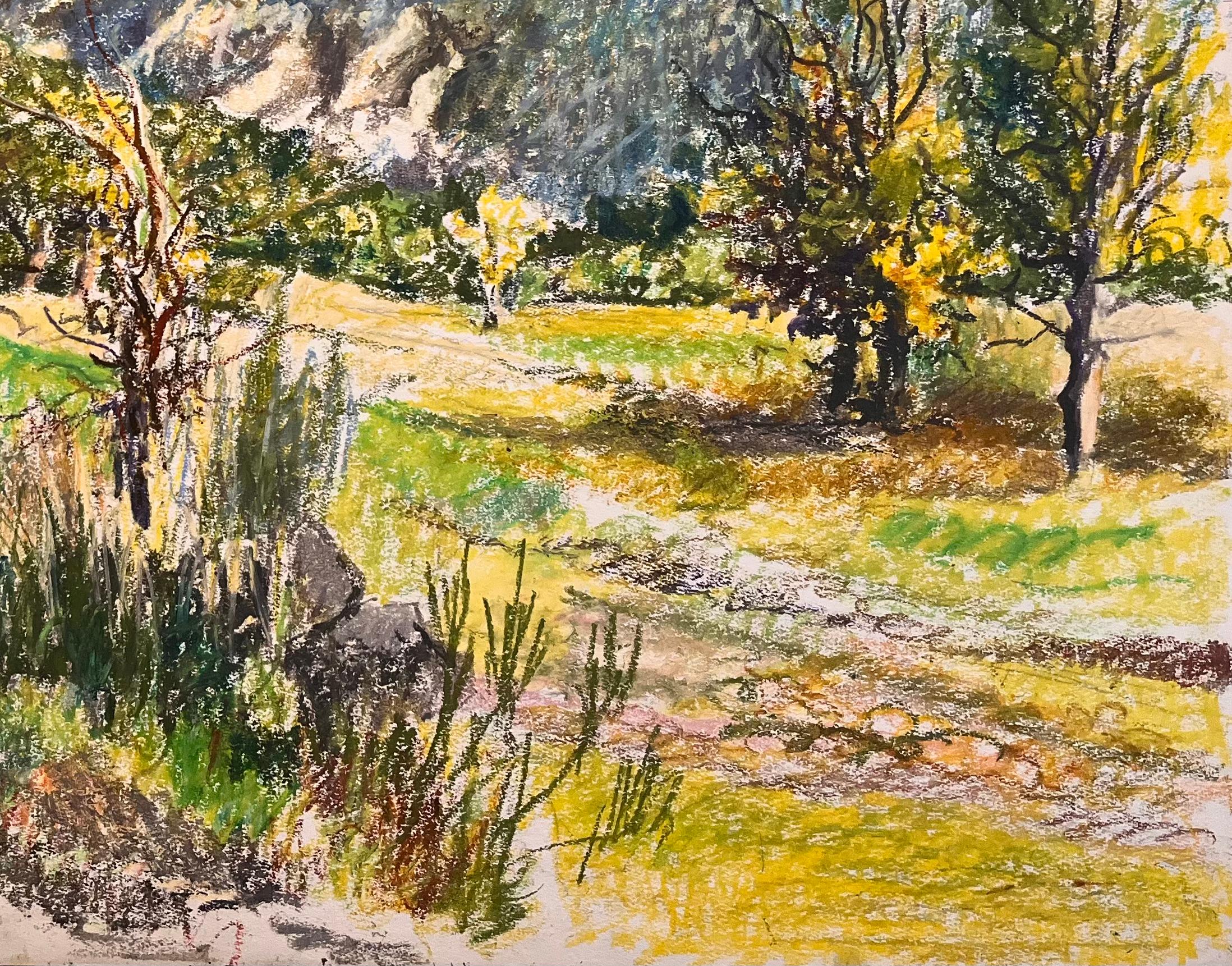 Titre : Dessin au pastel original français du milieu du siècle d'une scène de paysage montagneux

Artistics : Josine Vignon (française 1922-2022)

Médium : Pastel à l'huile sur papier d'artiste

Taille : 19,75 (hauteur) x 25,75 (largeur)

Signé :