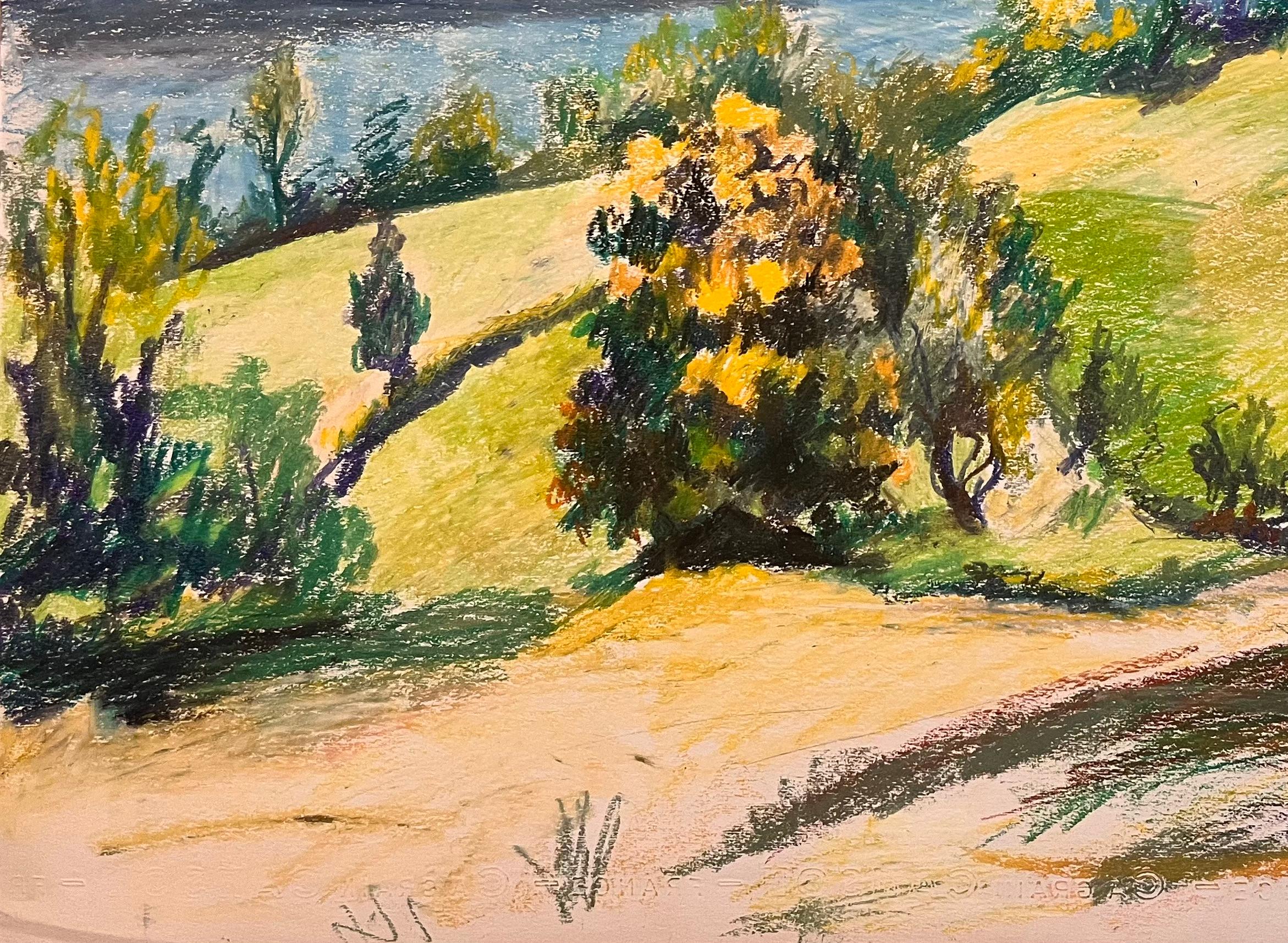 Französische Original-Pastellzeichnung aus der Mitte des Jahrhunderts mit Flusslandschaft und rollenden Hügeln im Angebot 1