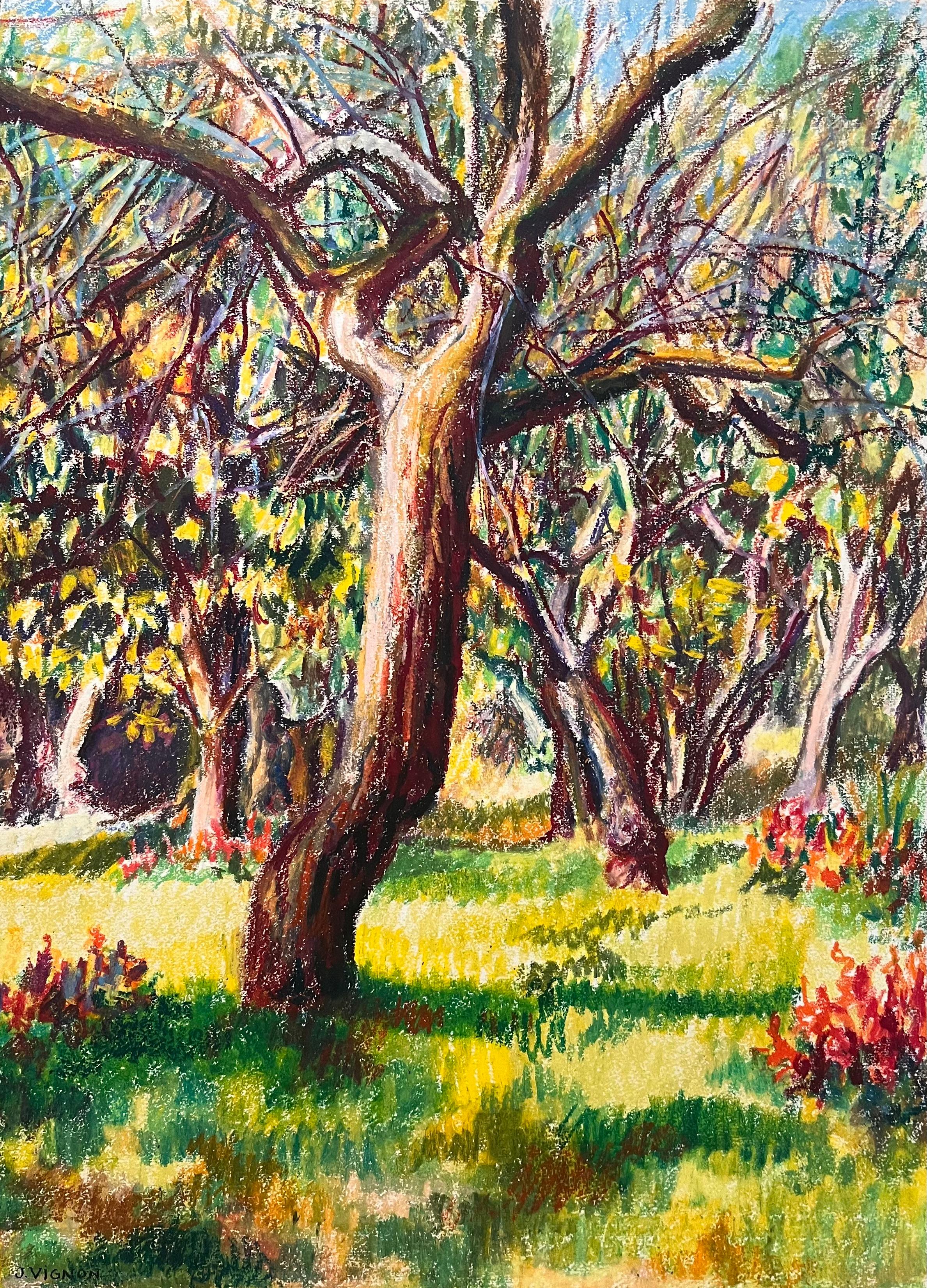 Landscape Painting Josine Vignon - Pastel original français du milieu du siècle représentant un verger éclairé par le soleil