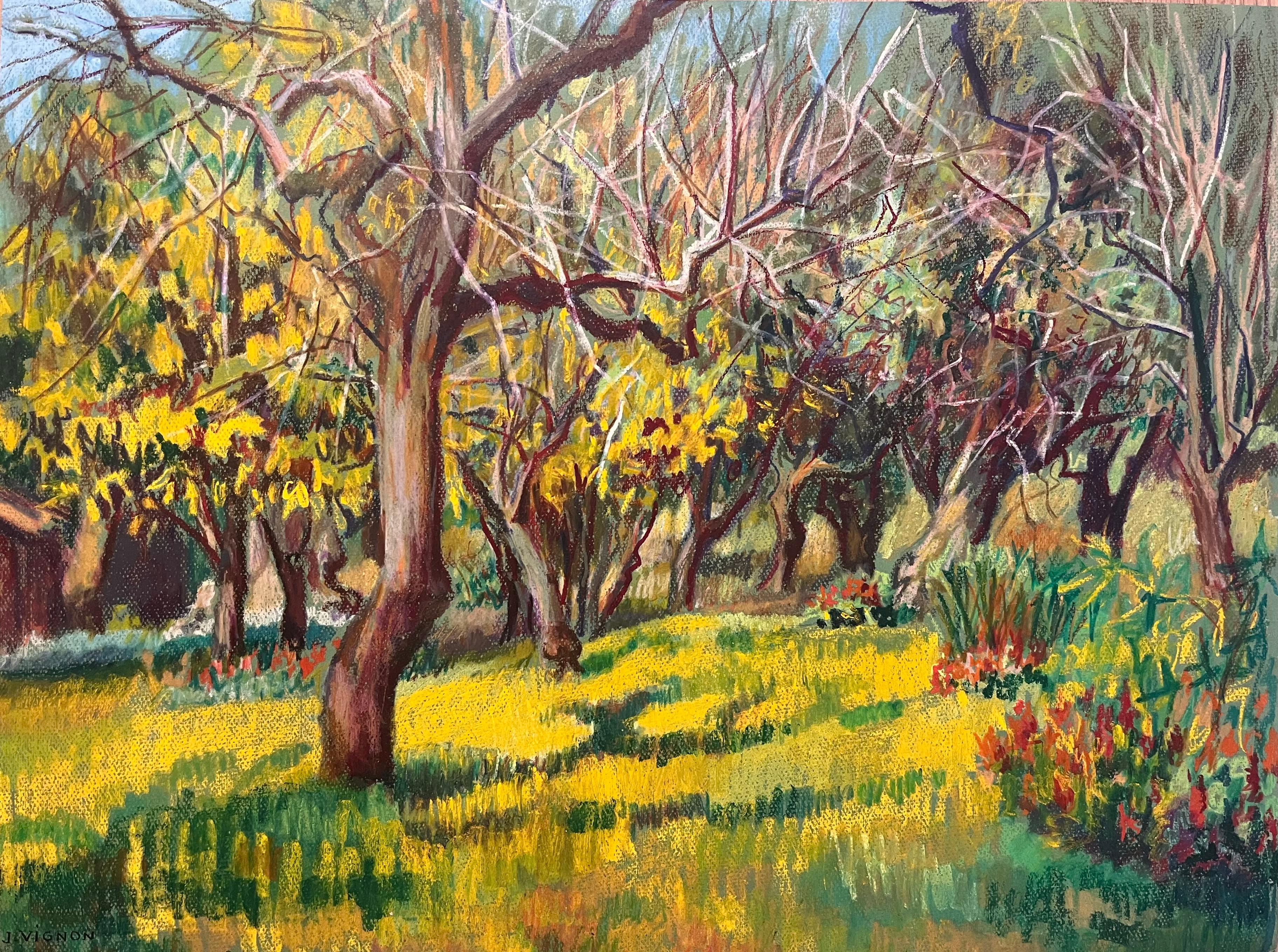 Landscape Painting de Josine Vignon - Pintura al pastel original francesa de mediados de siglo sobre un huerto bañado por el sol