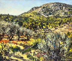 Vintage Olive Groves in Provence Original French Post Impressionist Signed Oil 1960's