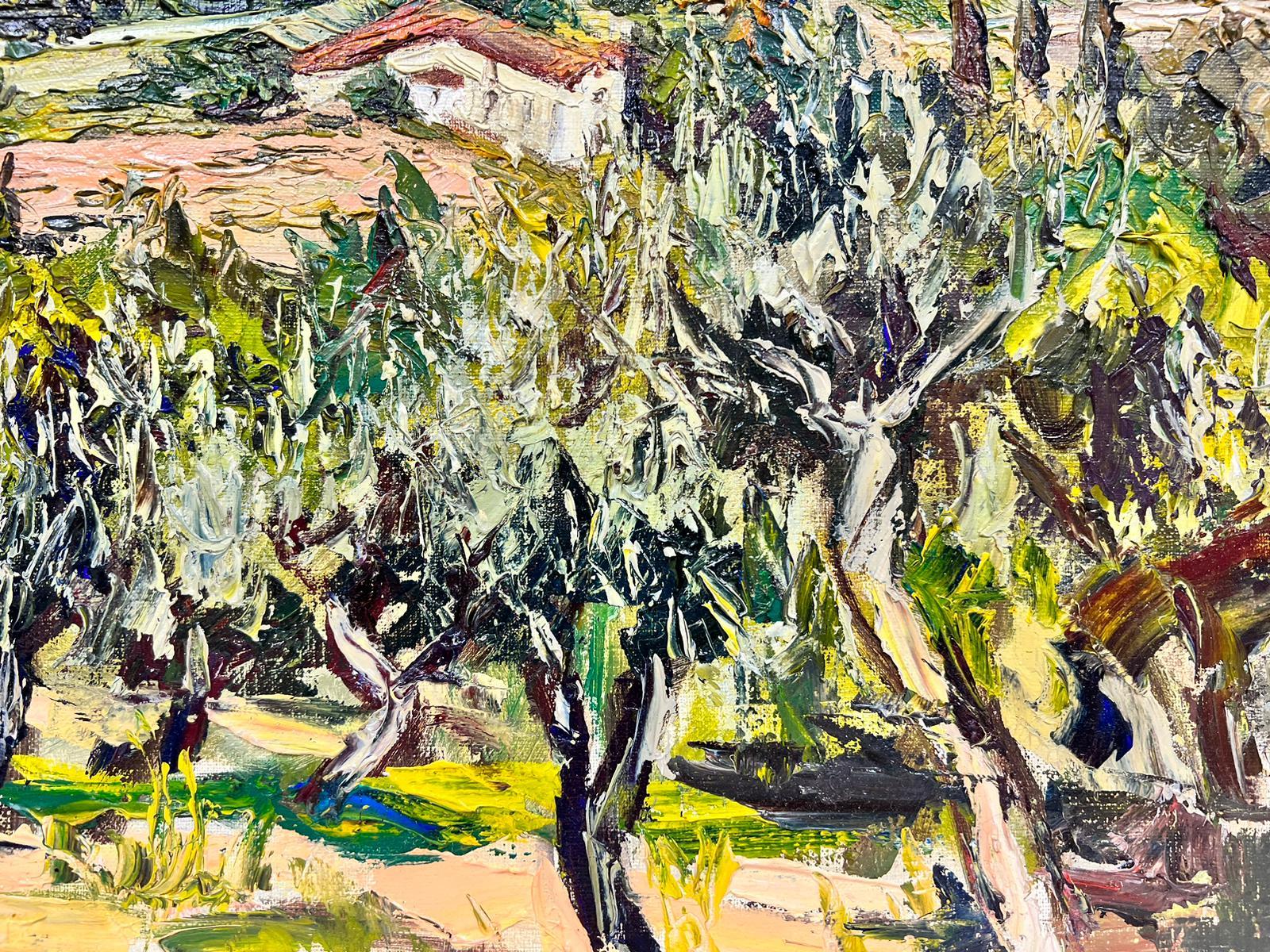 Olive Trees in Provence French Post Impressionist Signed Oil 1960's For Sale 1