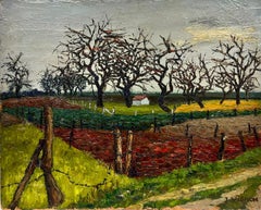 The Olive Trees in Winter Provence French Post Impressionist Signed Oil 1960
s