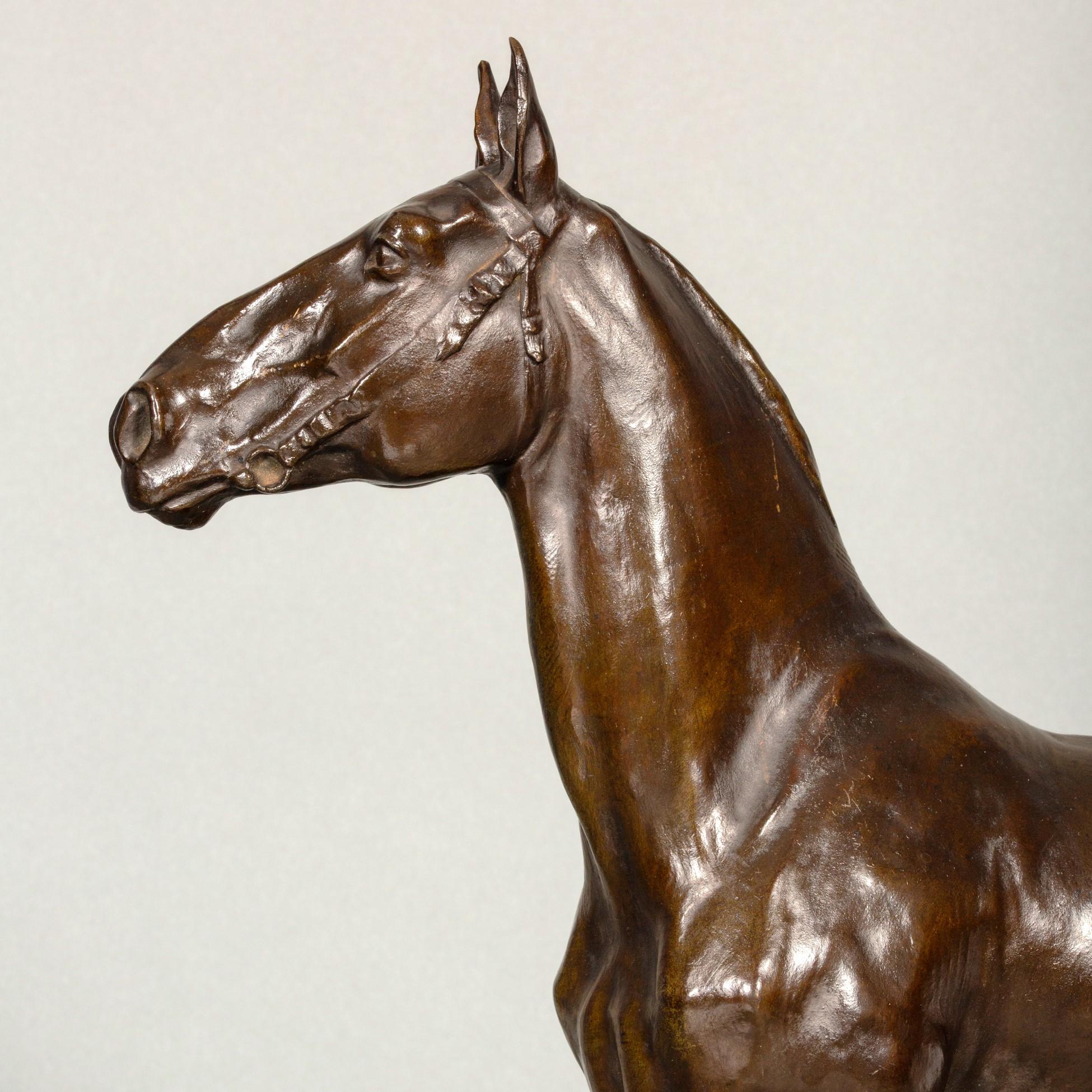 Mare - hunting horse by Josuë Dupon 1864-1935 For Sale 5