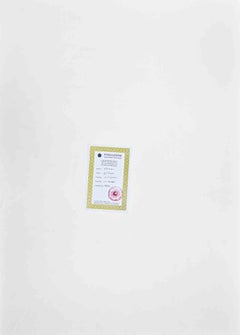 Gypsy -  Lithograph by Jovan Vulic - 1980s