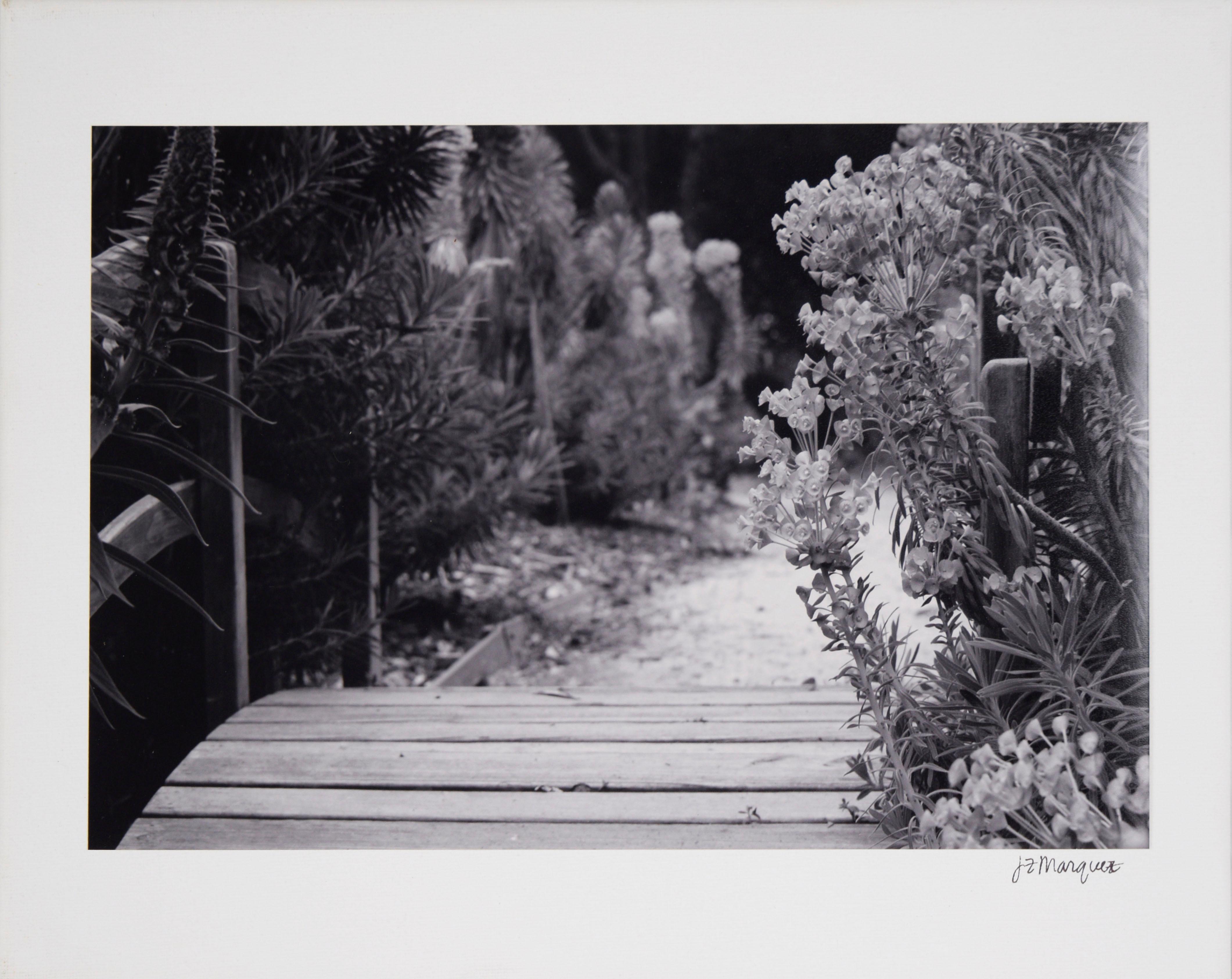 Ensemble de 3 photographies sur toile de Santa Cruz - Blanc Figurative Photograph par Joy Marquez