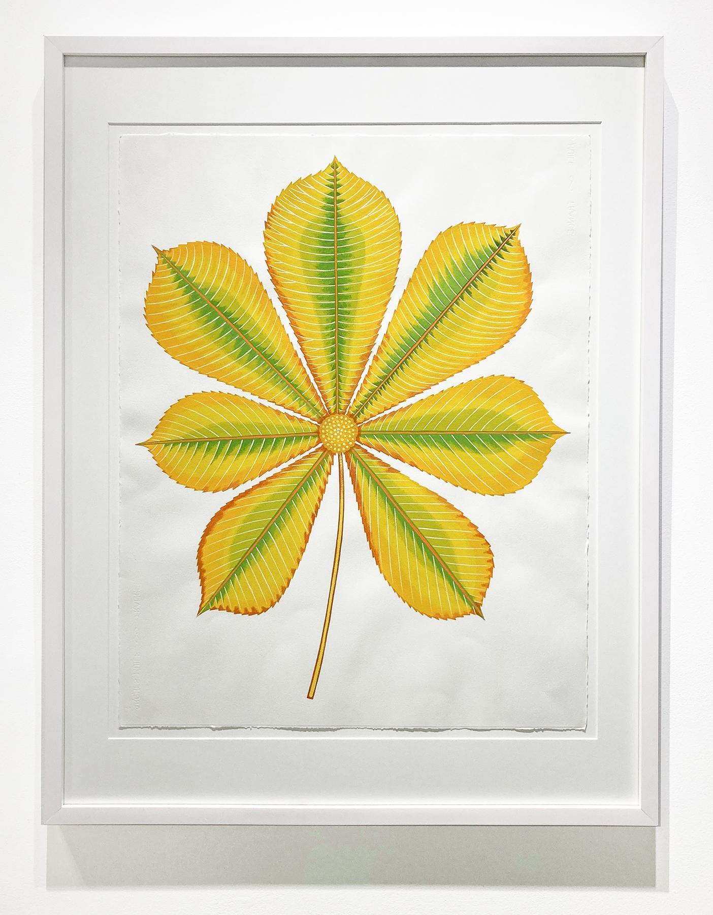 Sweet Gum (Contemporary Still Life, Graphic Hand-Painted Leaf on Paper) - Painting by Joy Taylor