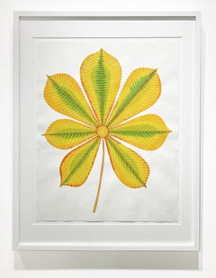 Sweet Gum (Contemporary Still Life, Graphic Hand-Painted Leaf on Paper)