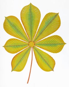 Sweet Gum (Contemporary Still Life, Graphic Hand-Painted Leaf on Paper)