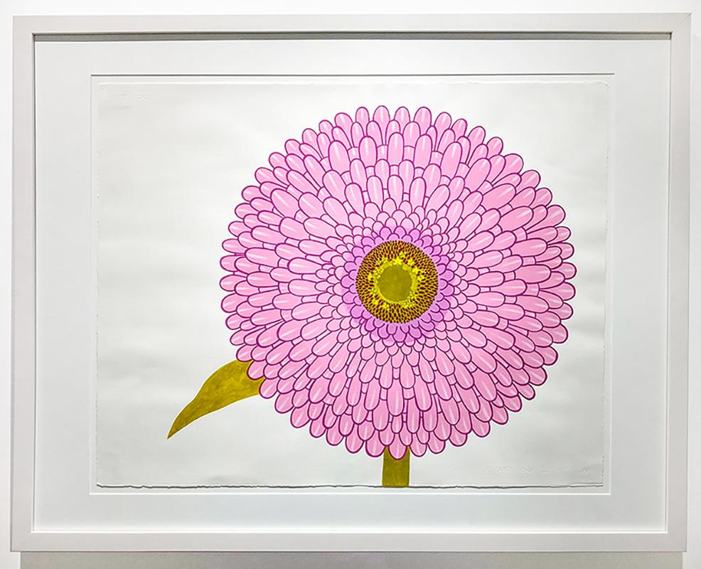 Zinnia (Zeitgenössisches Stillleben, grafische handbemalte rosa Blume auf Papier) – Art von Joy Taylor