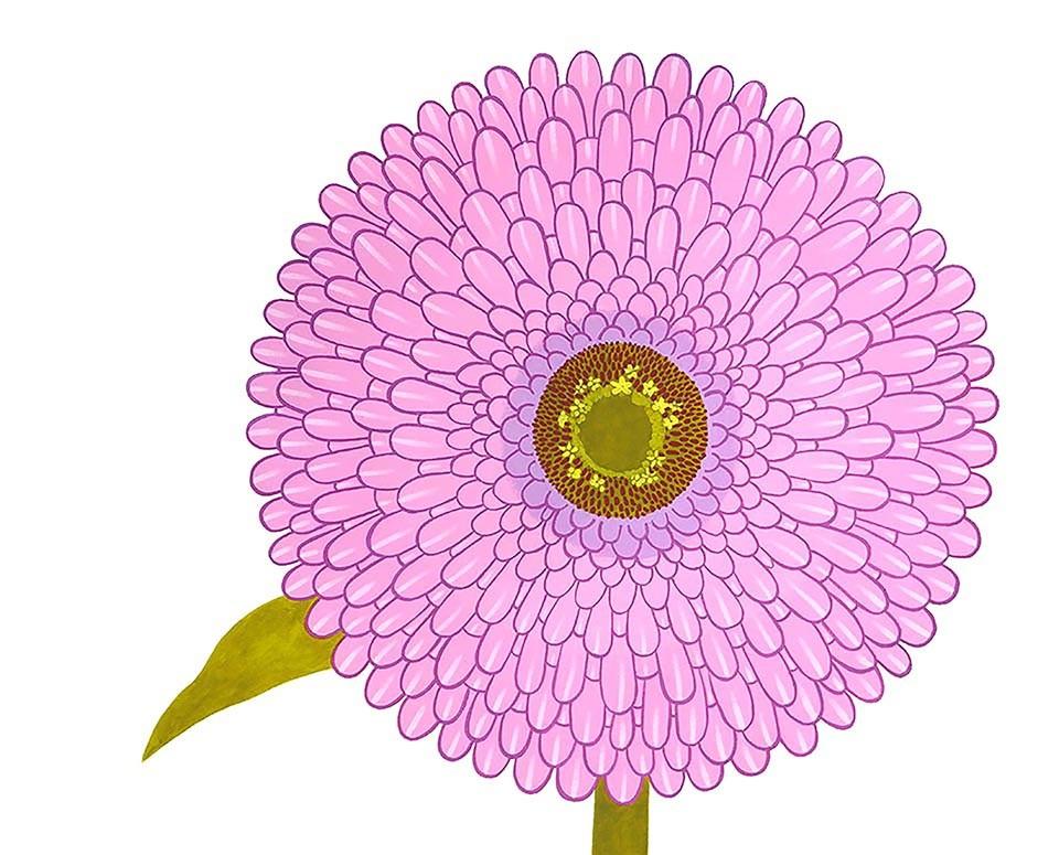 Zinnia (Zeitgenössisches Stillleben, grafische handbemalte rosa Blume auf Papier)