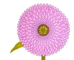 Zinnia (Contemporary Still Life, Graphic Hand-Painted Pink Flower on Paper)