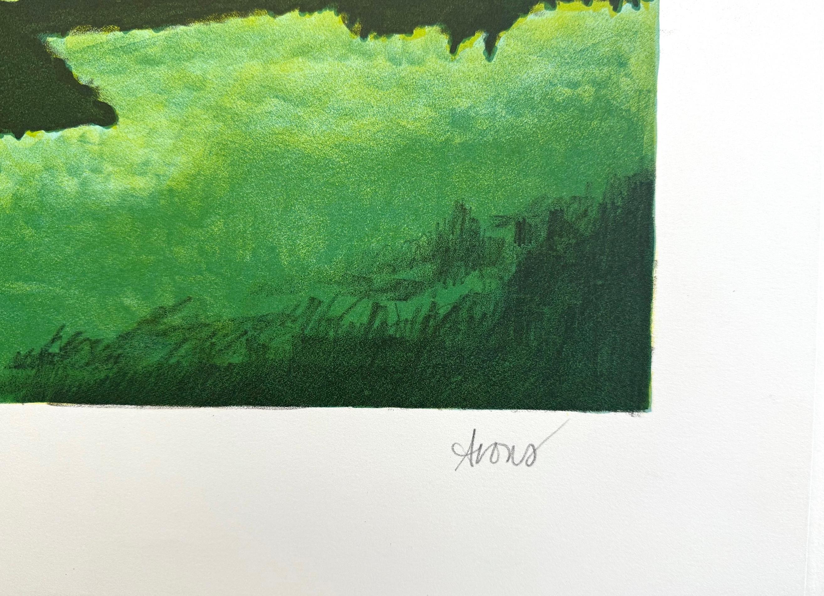 FAIRCHILD is a hand drawn original lithograph by the American artist Joyce Arons, printed using traditional hand lithography methods on archival printmaking paper, 100% acid free. FAIRCHILD depicts a country landscape composition featuring a