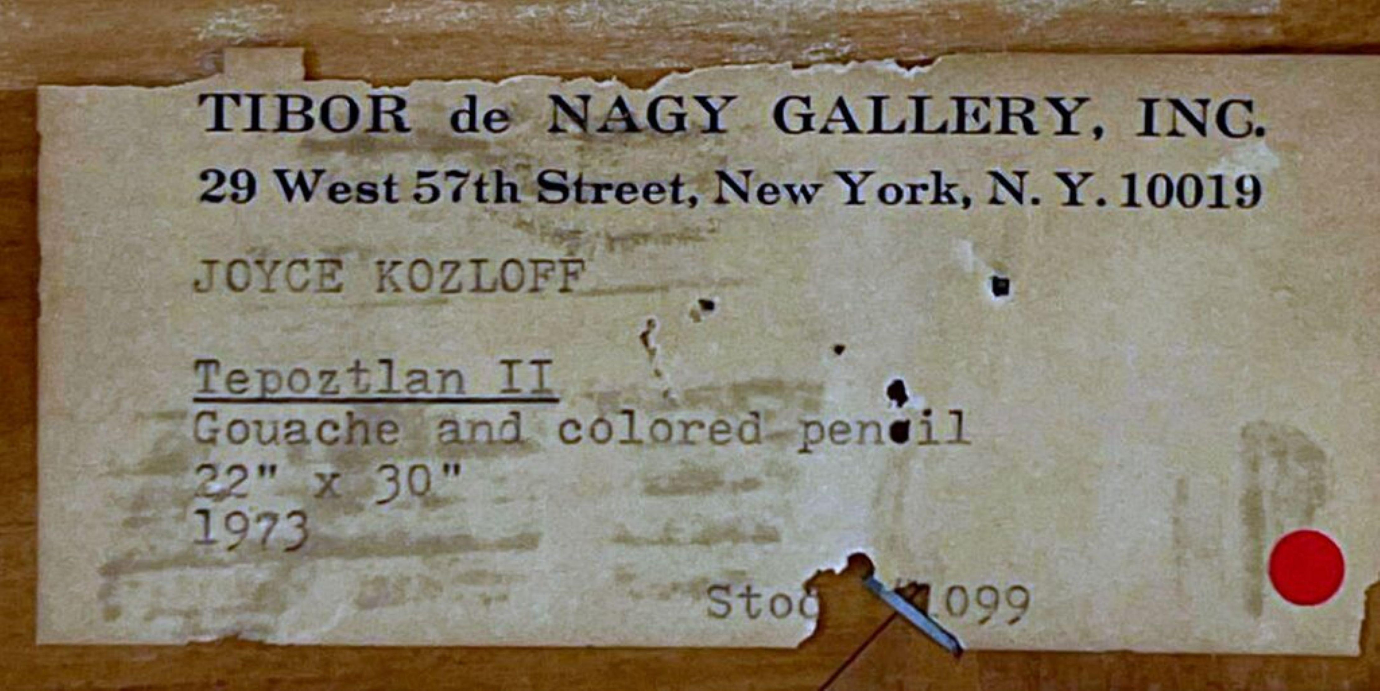 Tepoztlan II unique signed framed work on paper by renowned artist Joyce Kozloff For Sale 2