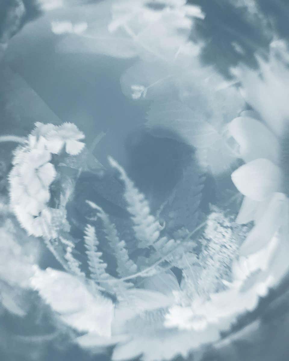 Fern & Wildflowers